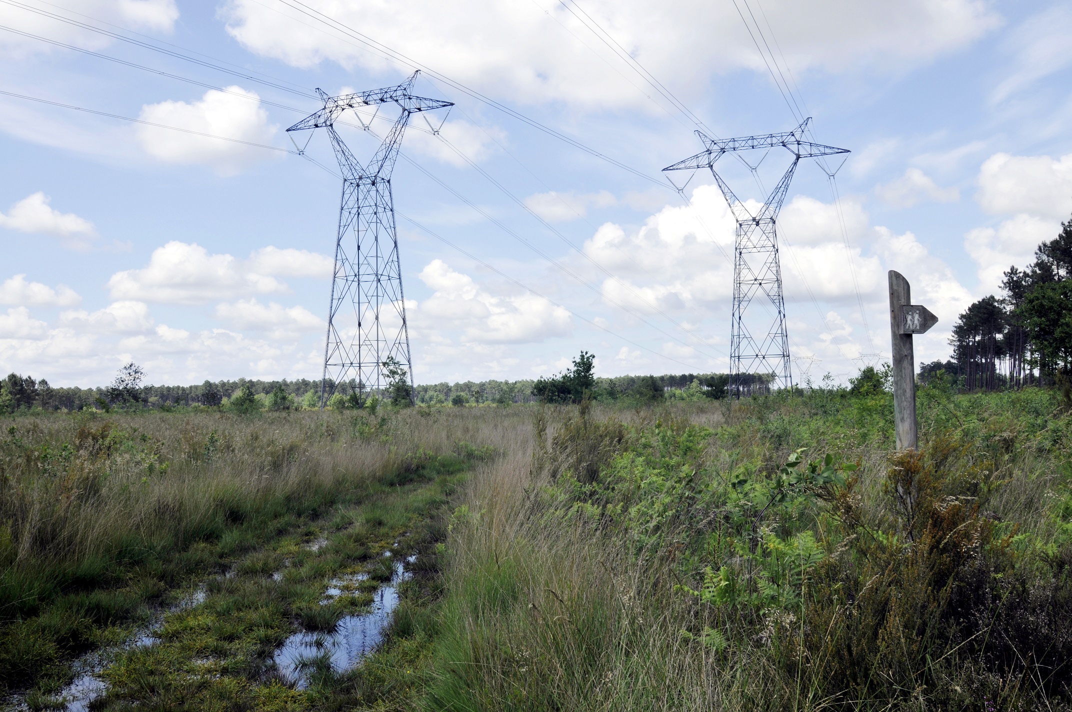 Neutralité Carbonne