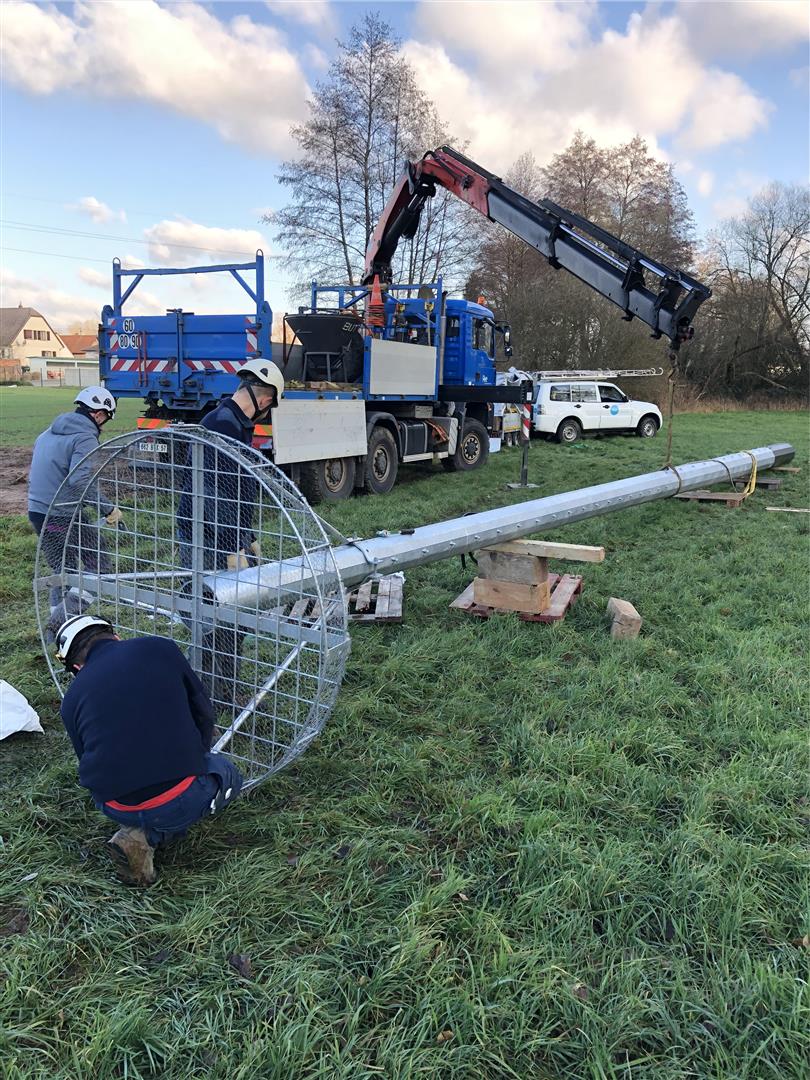 Quand l’oiseau fait son nid… 