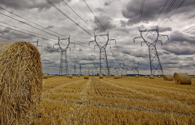 Pylones RTE dans un champ_Crédit Romain Kirschstetter vignette