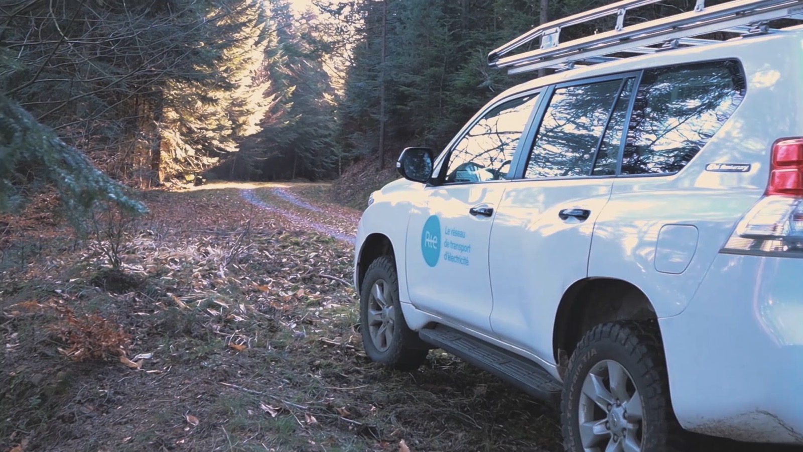 Coupes sélectives - FND 2020