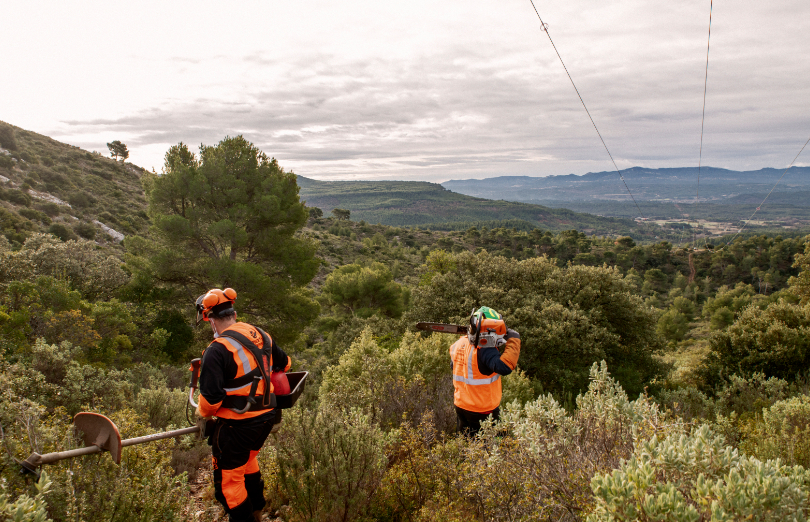 visuel vignette BELIVE