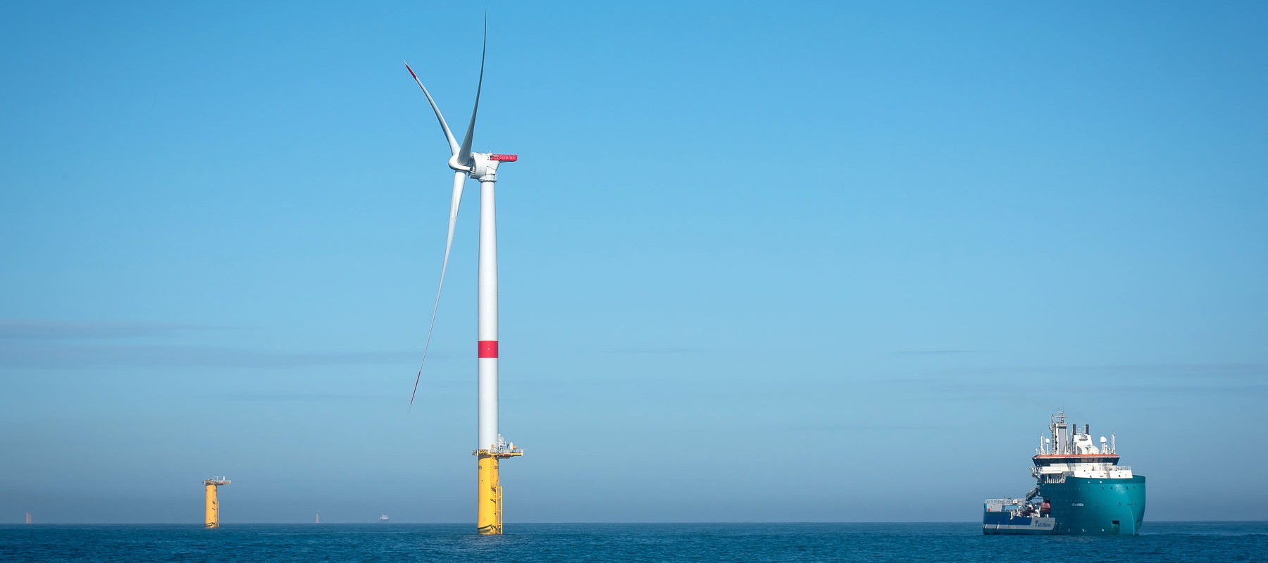 Éoliennes en mer : quel est l’impact de leur raccordement sur la biodiversité marine ?
