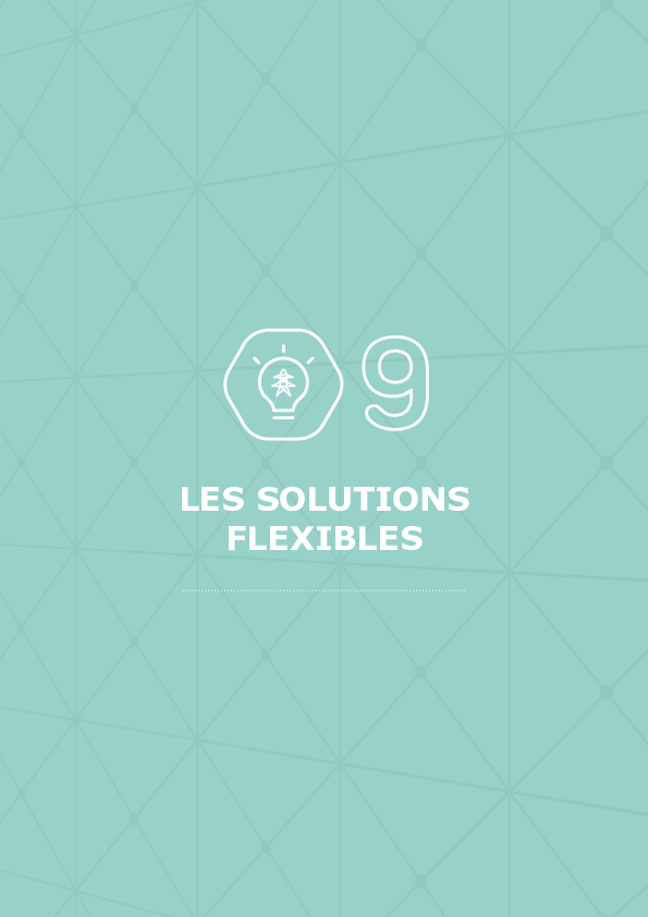 SDDR 2019 Chapitre 09 - Les solutions flexibles.pdf thumbnail