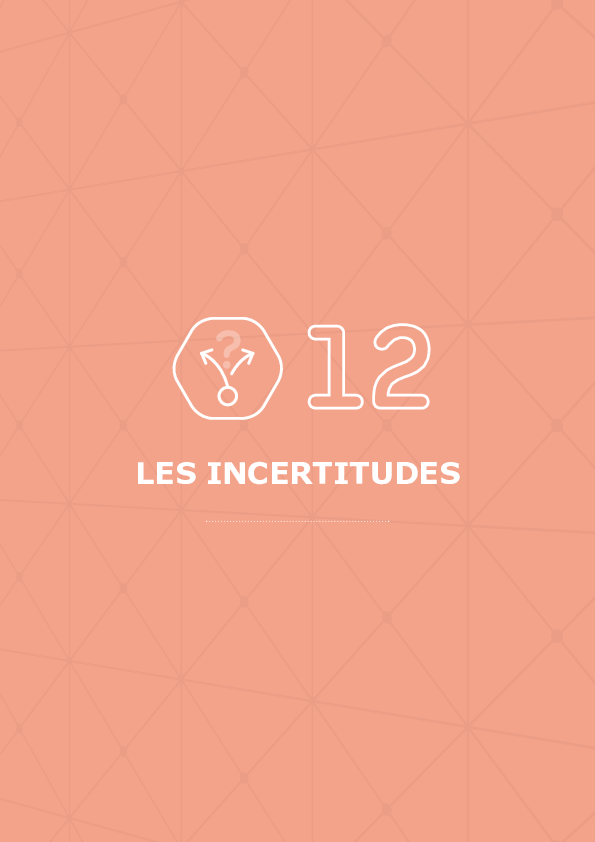 SDDR 2019 Chapitre 12 - Les incertitudes.pdf thumbnail