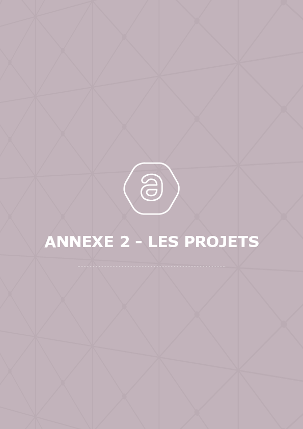 SDDR 2019 Annexe 02 - Les projets.pdf thumbnail