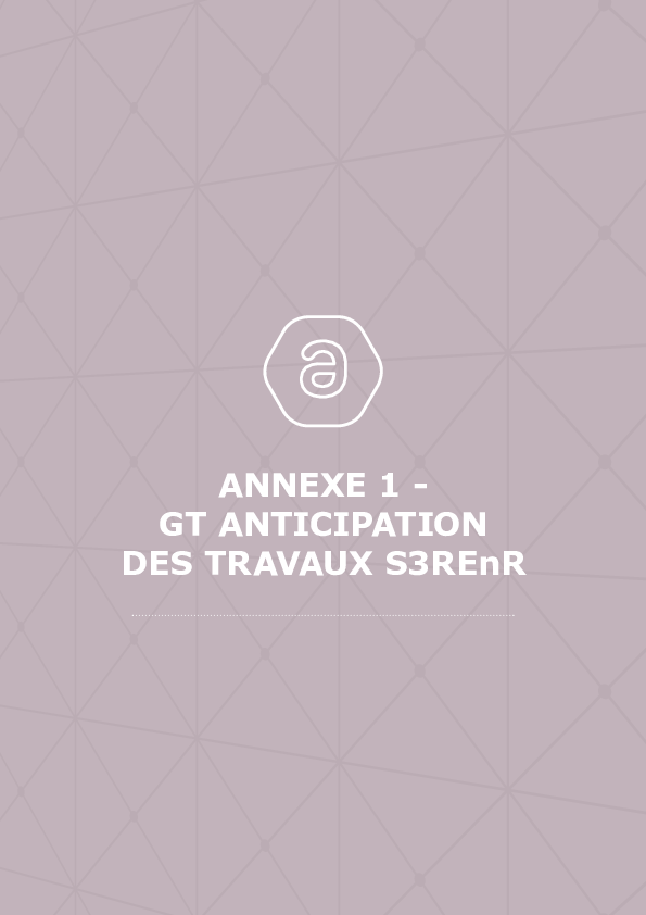SDDR 2019 Annexe 01 - GT anticipation des travaux S3REnR.pdf thumbnail