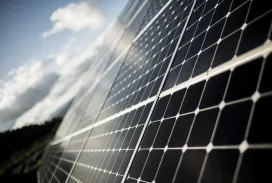 Neutralité carbone : pourquoi les énergies renouvelables sont indispensables ?