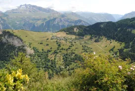  mountain-4672115.jpg