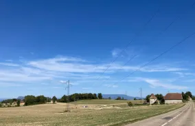  Visuel Petite vignette_Actu JAILLEU_AURA