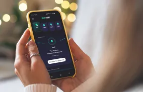 Application EcoWatt