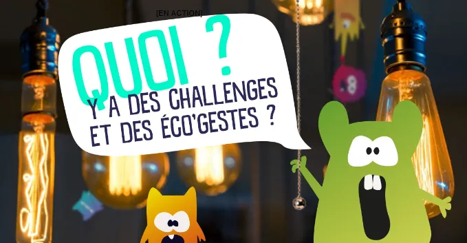 Ecowatt IDF ILL2