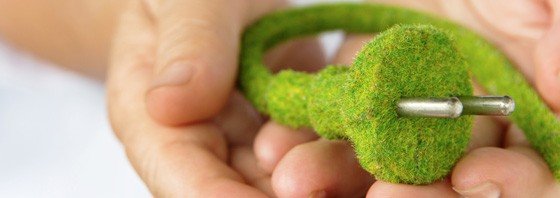 ecowattpaca-home