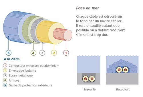 Infographie des types de pose sous-marine et de la composition d'un câble (transcription ci-après)