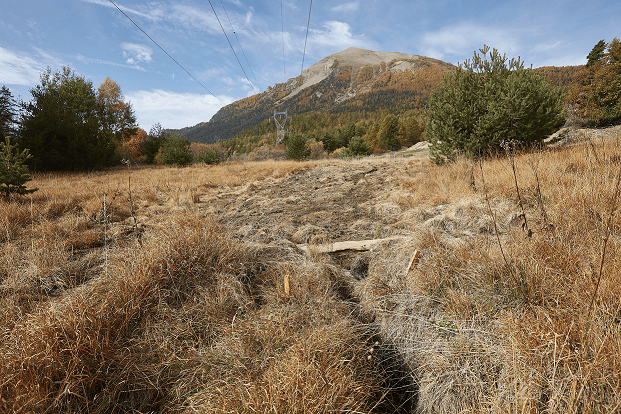 Zone humide bas marais alcalin