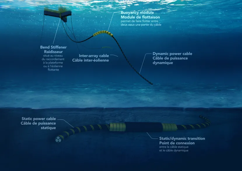 Infographie du raccordement sous-marin d'un éolien flottant (transcription ci-après)