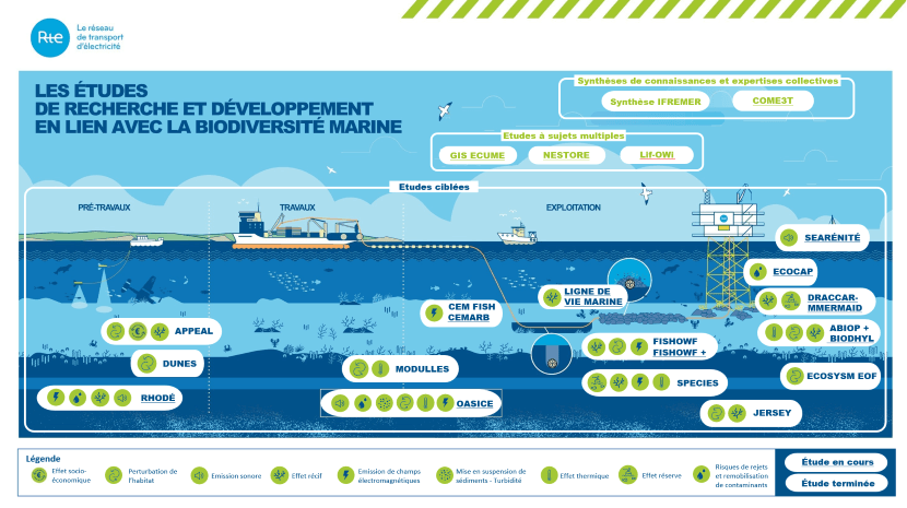 Infographie Les études de recherche et développement en lien avec la biodiversité marine