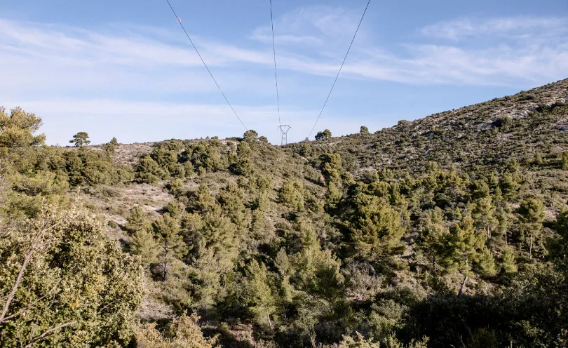 ONF 1