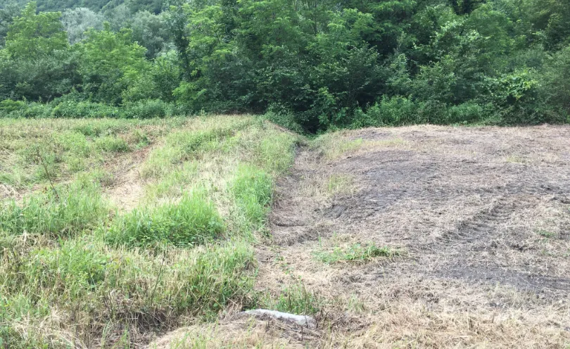 Photo d'une comparaison entre un gyrobroyage relevé (herbe touffue) et classique (absence d'herbe)