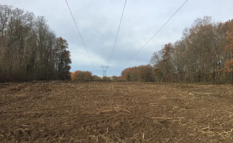 Photo d'un pan de terre sans herbe, coupé au gyrobroyeur classique