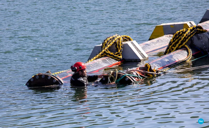 Photo d'un plongeur près de fourreaux en pleine mer