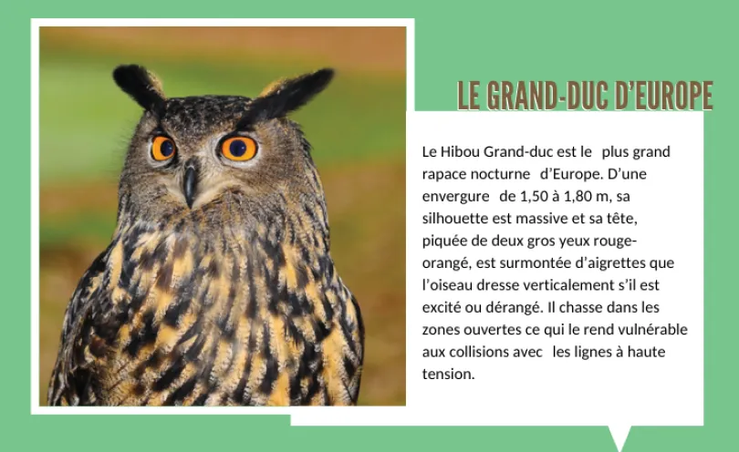Le Grand Duc d'Europe