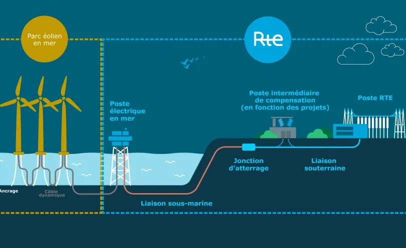 Infographie des différents types de raccordement avec les technologies d'éolien flottant (transcription ci-après)