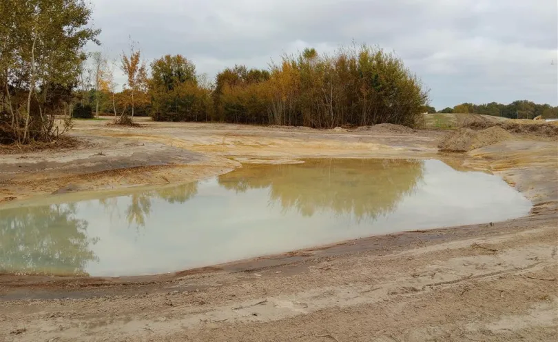 Construction de zone humide