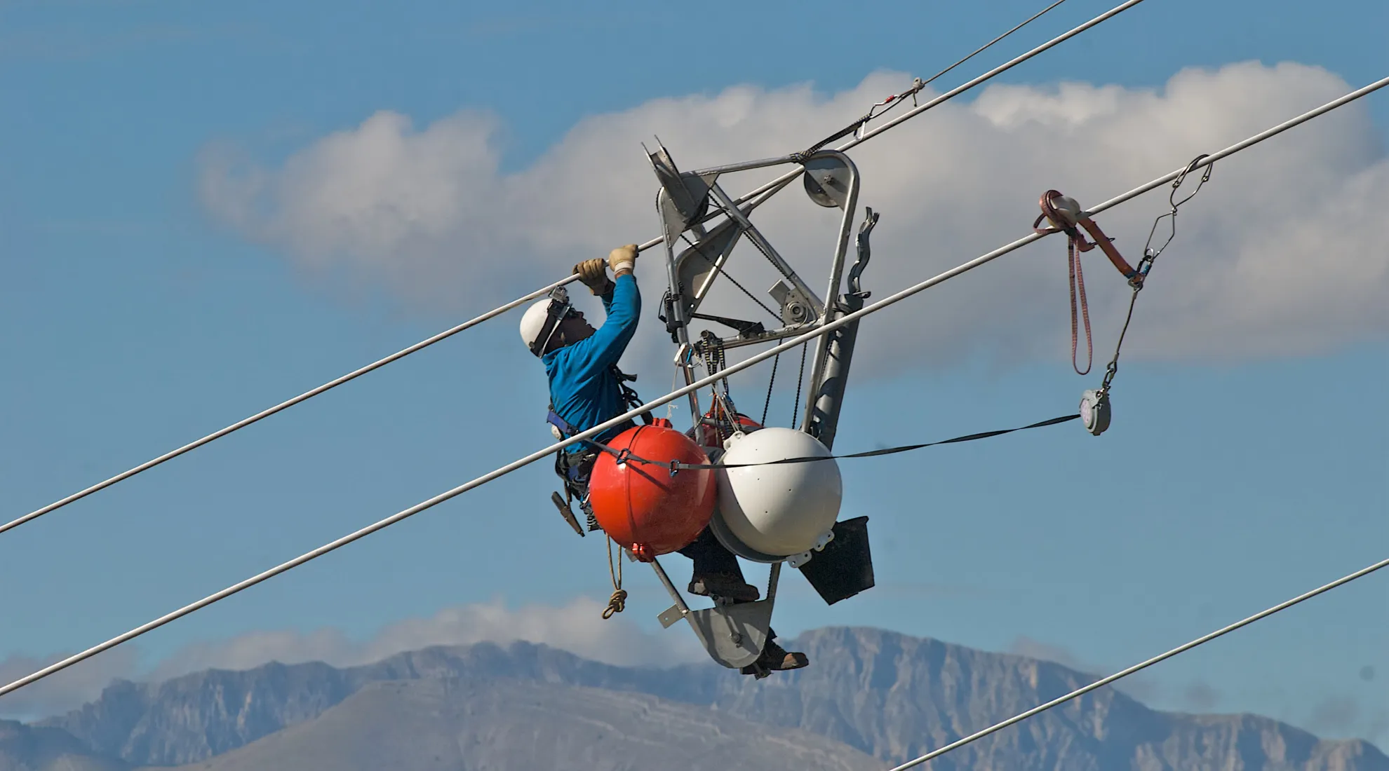 Pose de balises avifaunes à l'aide d'un bicycle