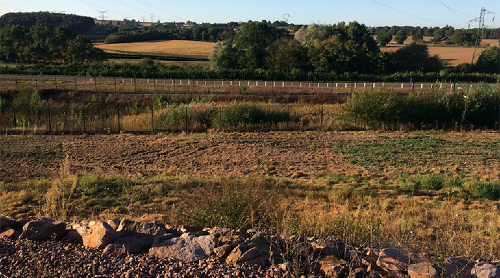 Les « Jardins de Noé » : une belle reconnaissance pour RTE-Est, un joli geste pour l’environnement !