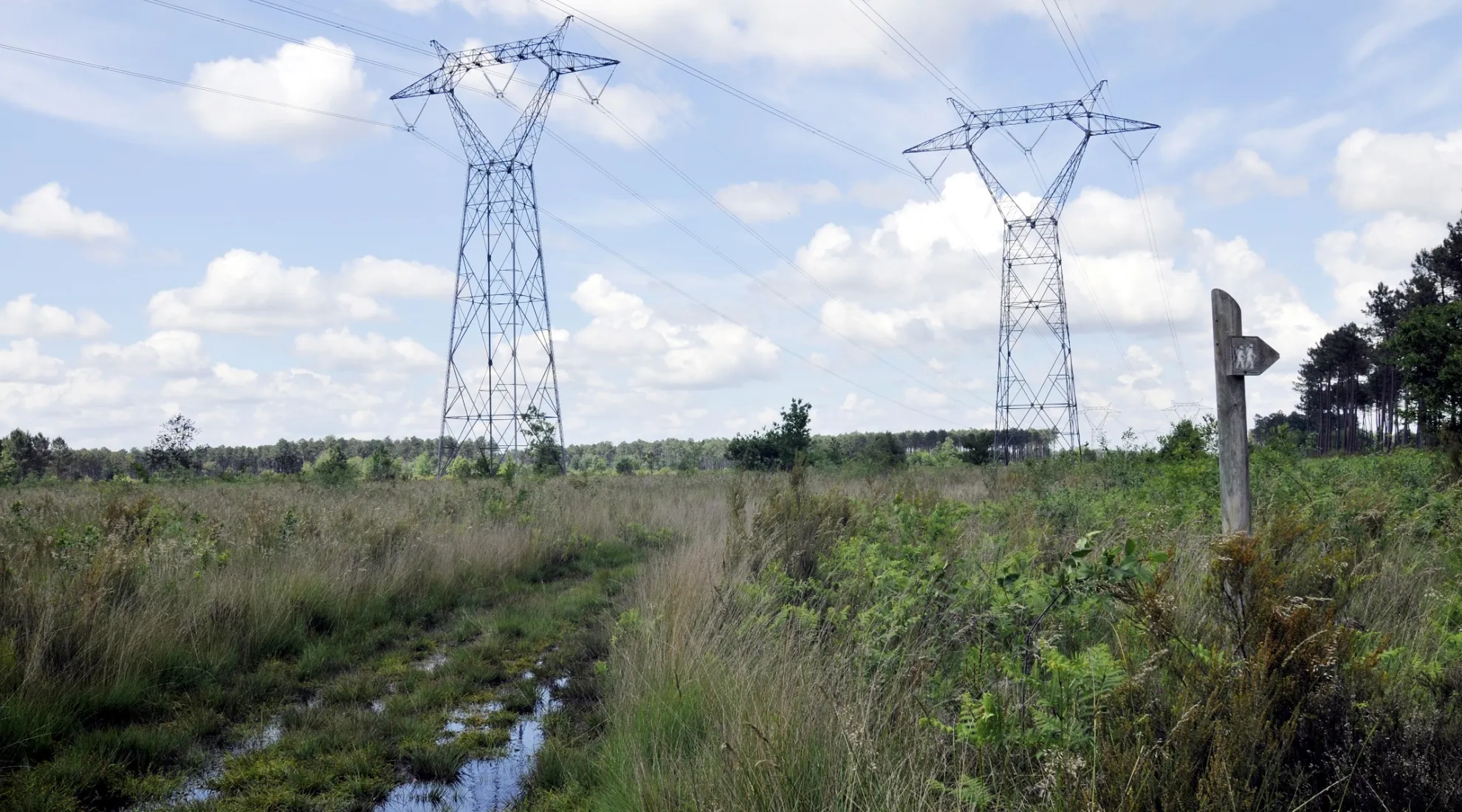 Neutralité Carbonne