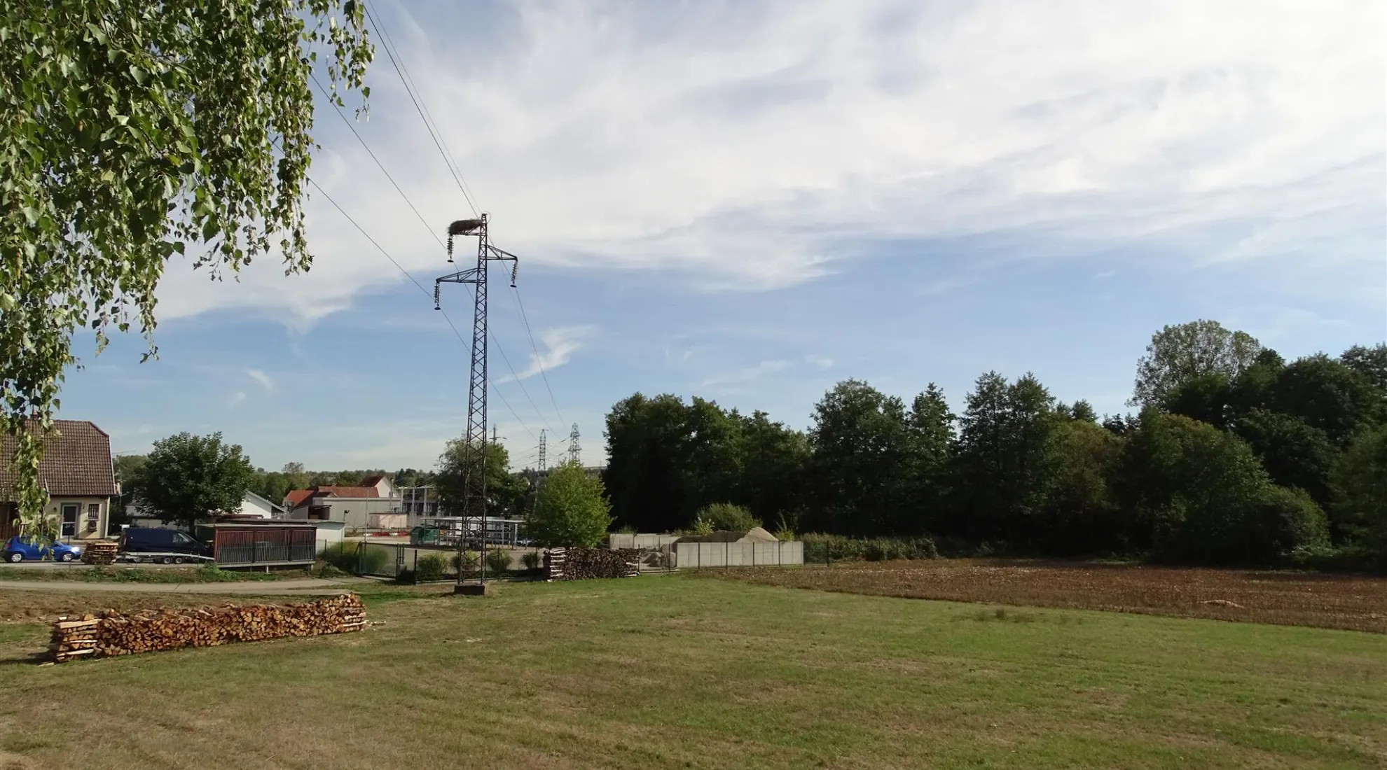 Quand l’oiseau fait son nid… 