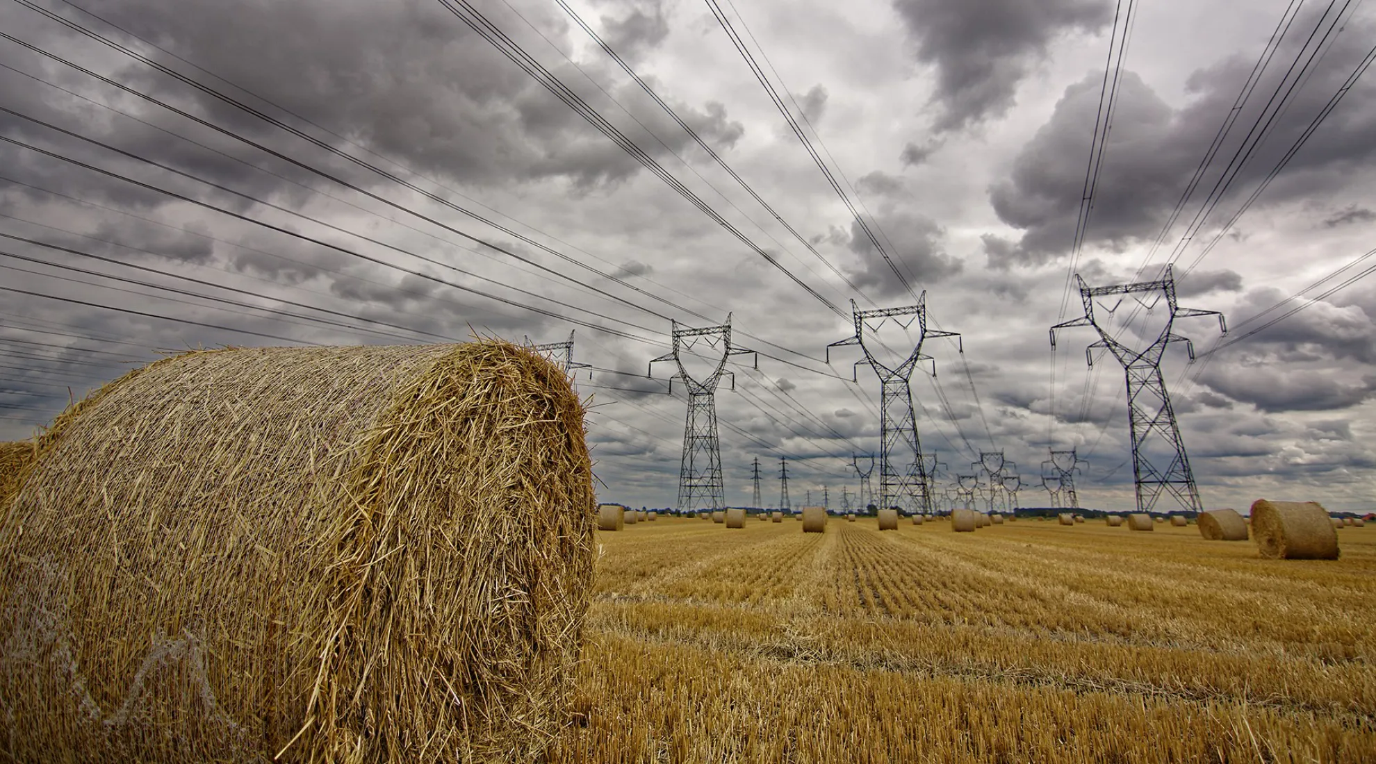 Pylônes RTE dans un champ - Bannière