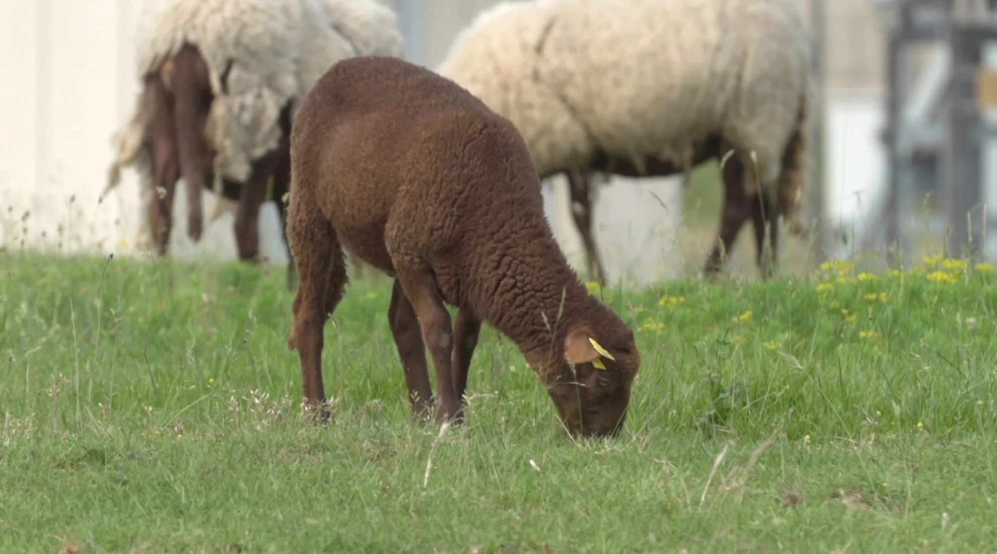 cover_externe_recadre