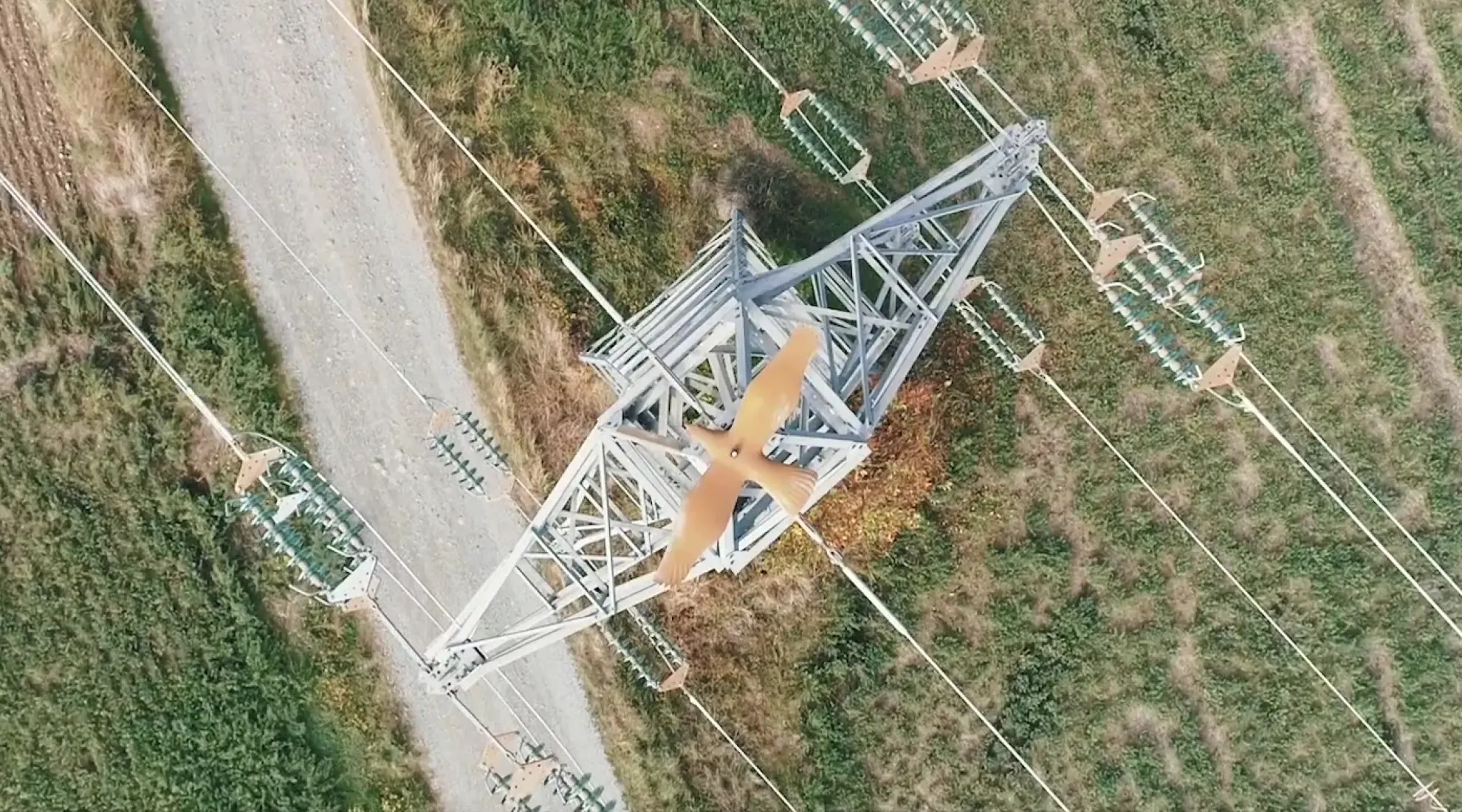 Paysage avec ouvrage RTE