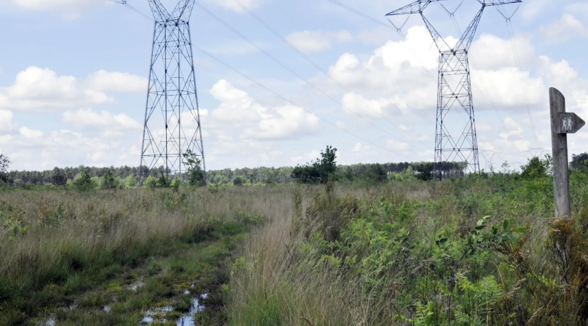  Biodiversité sous les lignes RTE