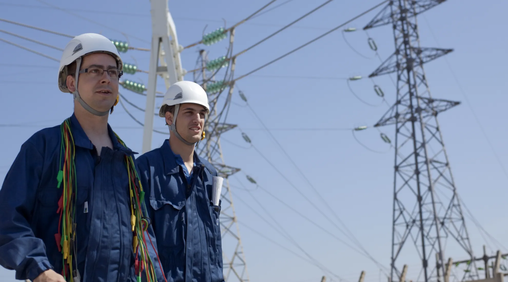 Lignards aux abords d'un poste électrique