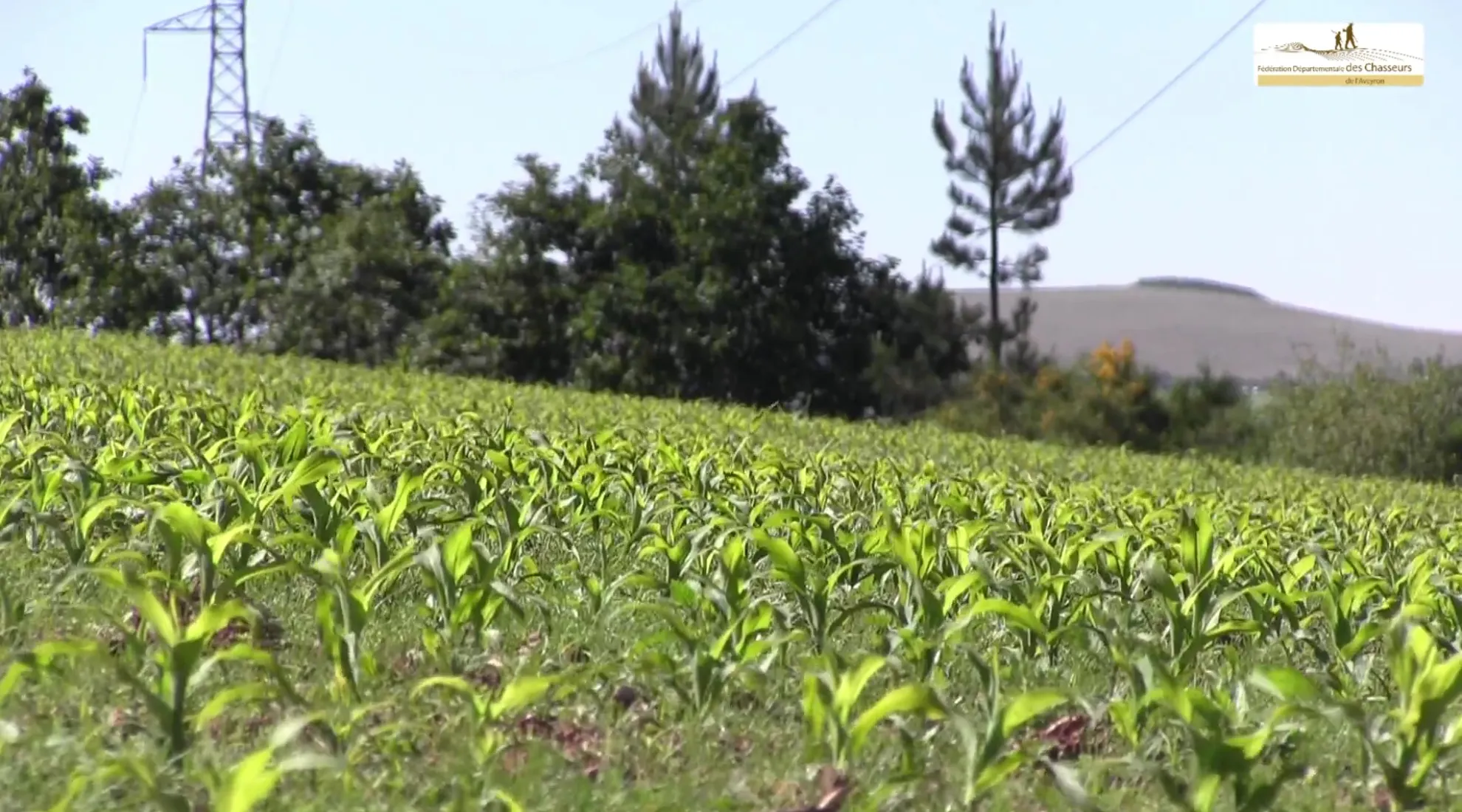 Partenariat RTE et chasseurs