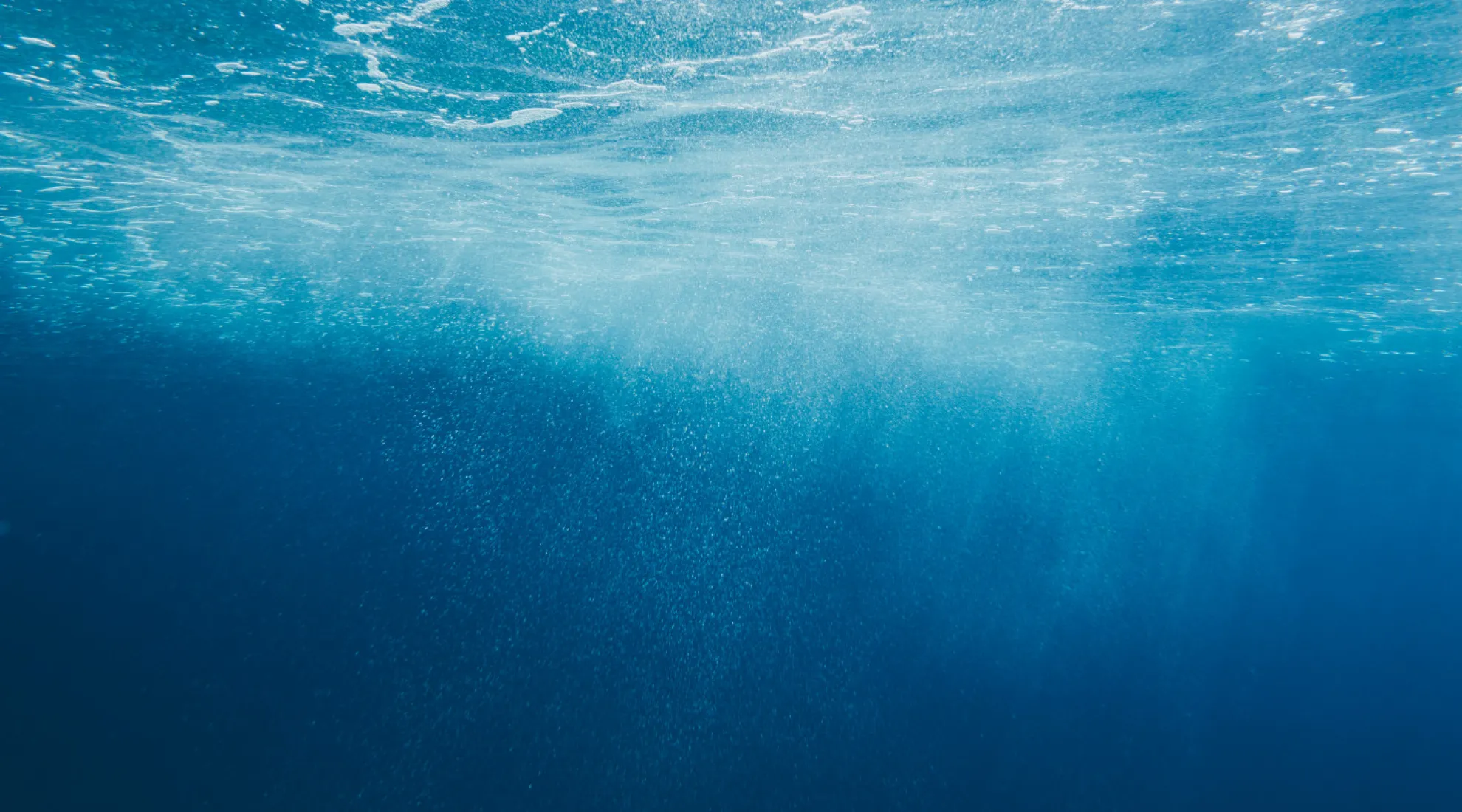 banniere channel EMR mediterranee