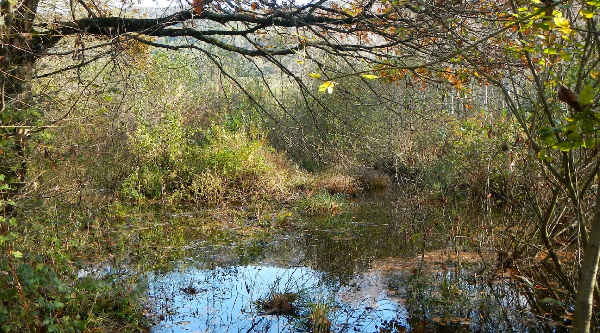 Cover convention mollettes