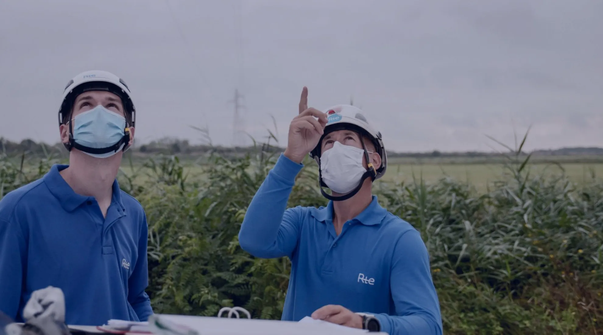 Installation de perchoirs en Camargue