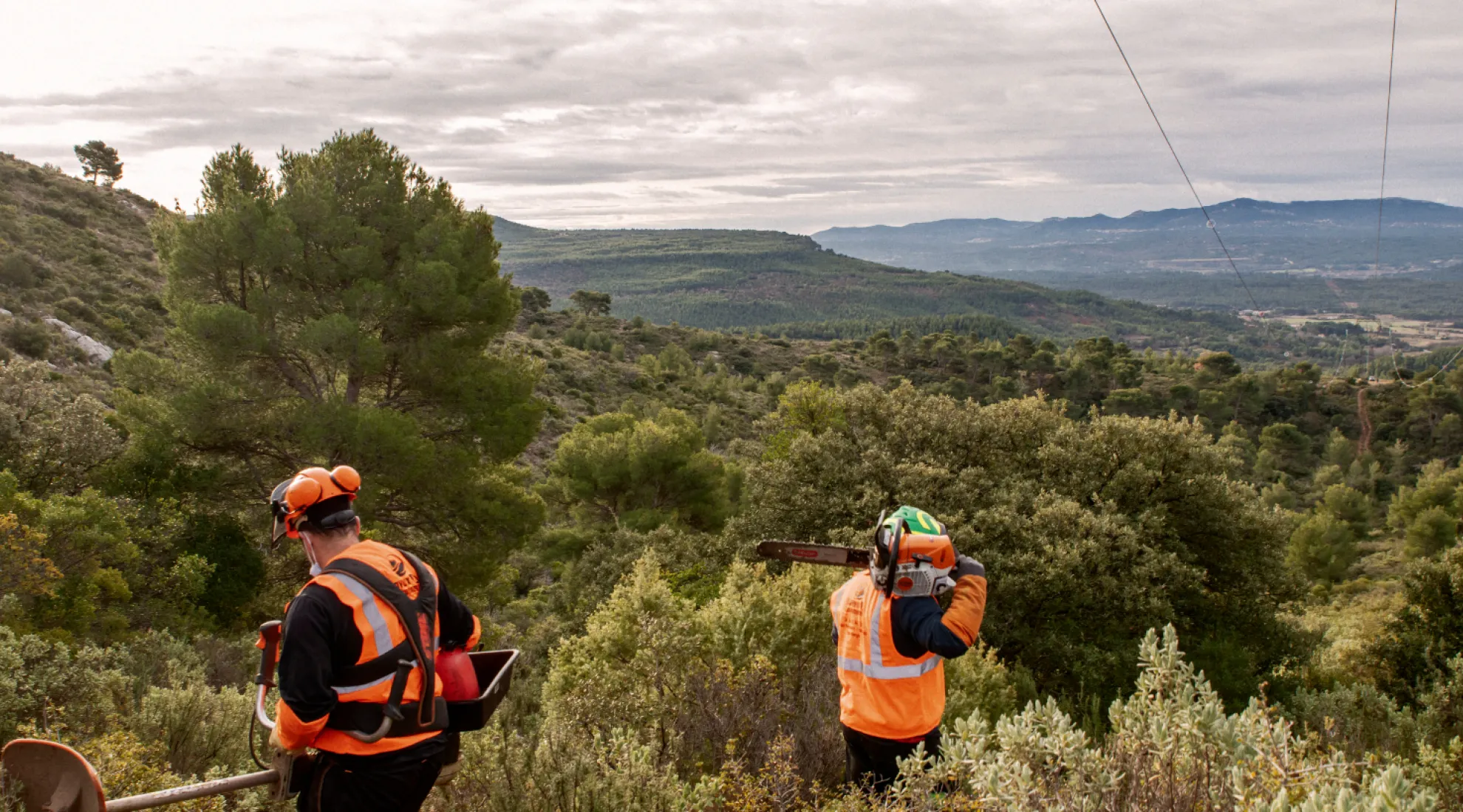 visuel en tete BELIVE