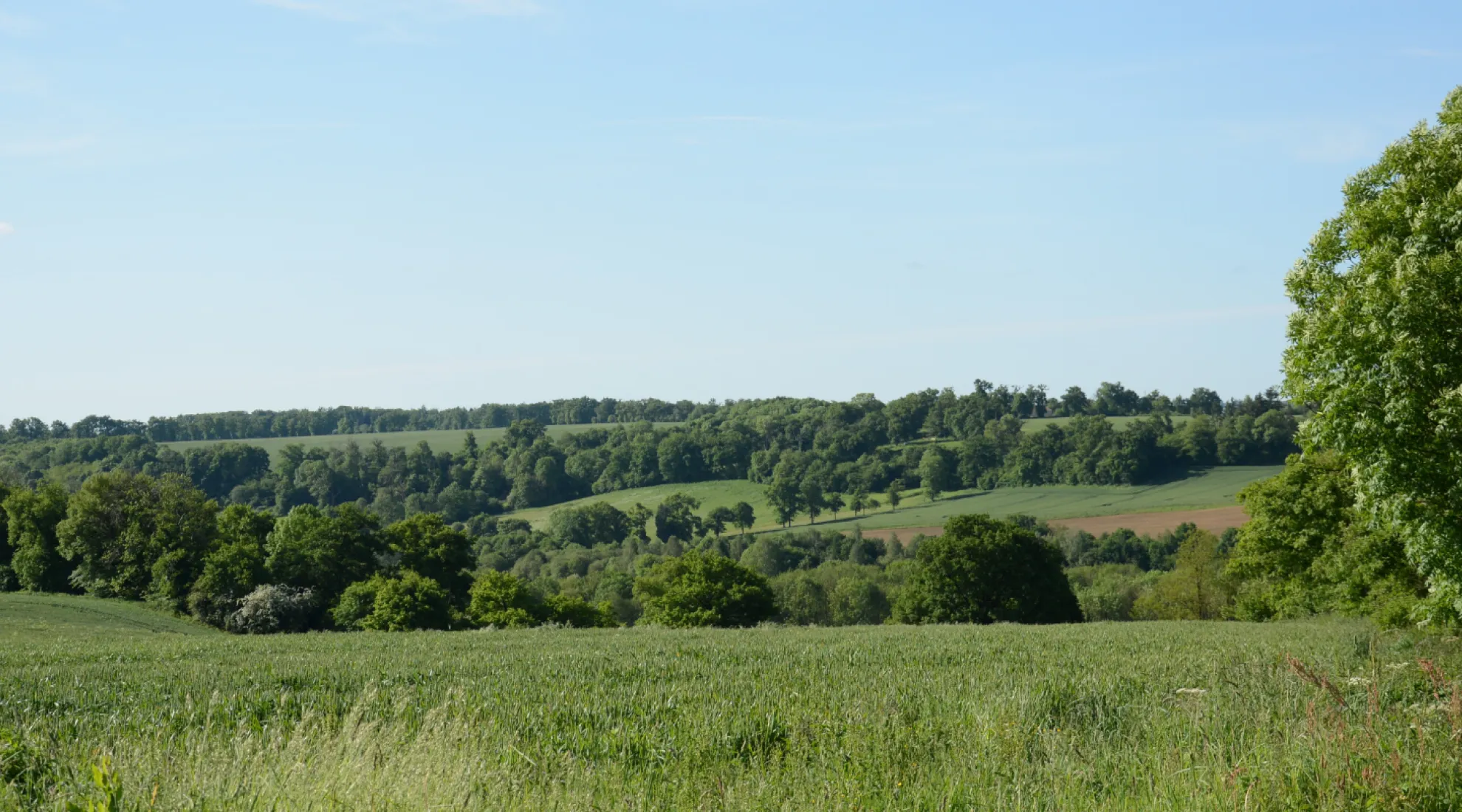 Création poste électrique Haut Limousin