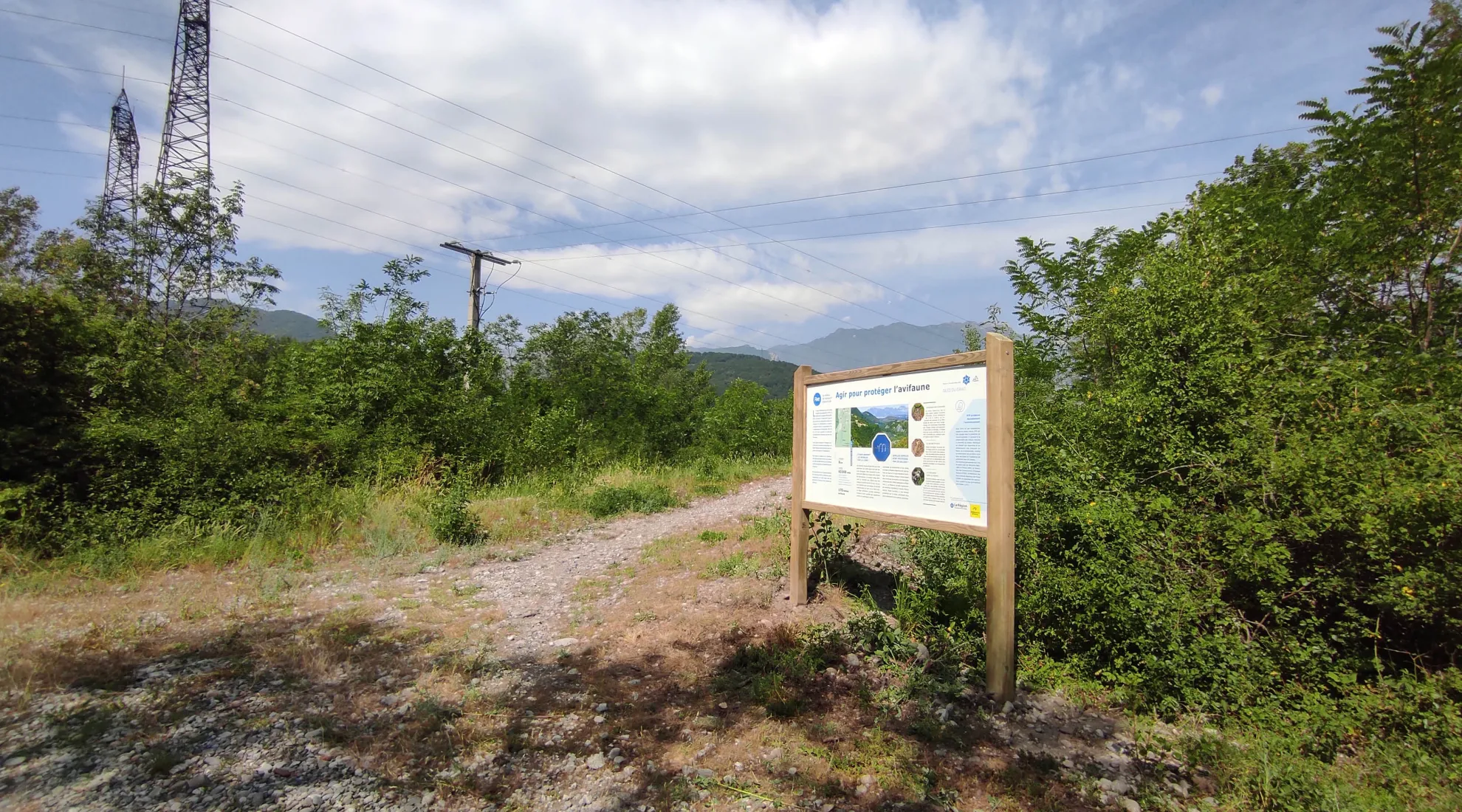 RTE engagé pour la protection avifaune dans la Réserve des Isles du Drac en Isère