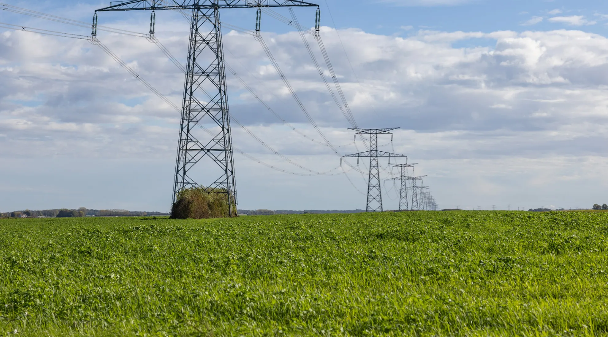 Pylones électriques dans un champs