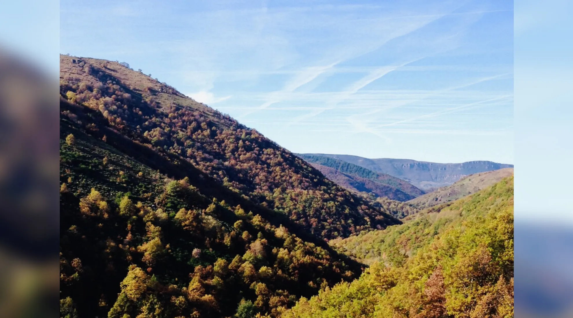 Parc national des Cévennes - Cover