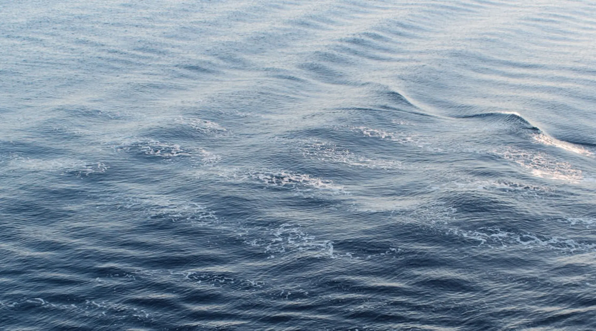 Raccordement des éoliennes flottantes au large de la Narbonnaise en Méditerranée - Cover