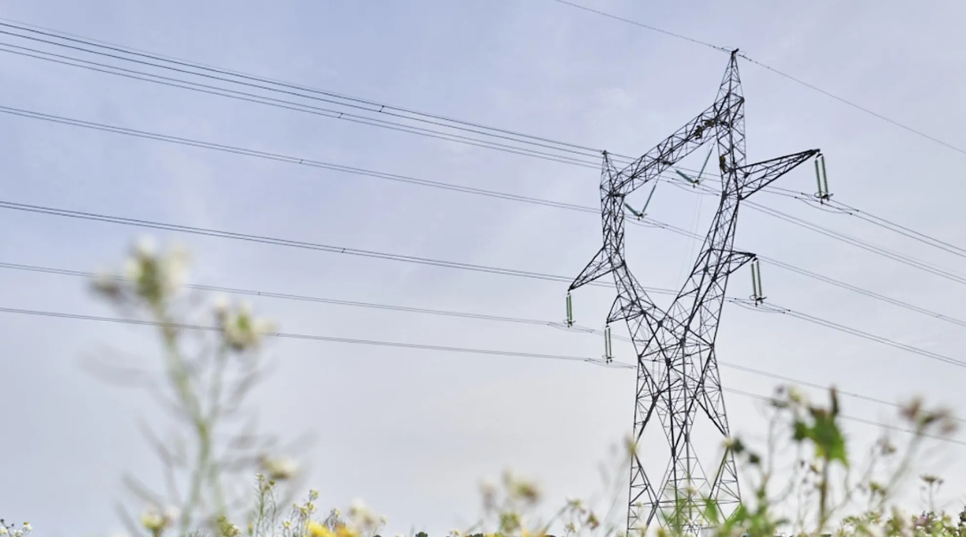 Actualité Sud-Ouest - Cover