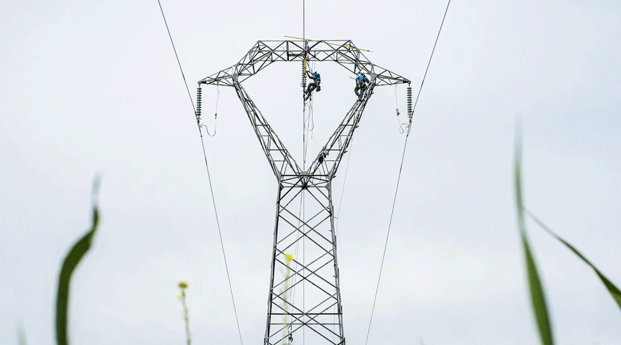Renouvellement stratégie d'approvisionnement