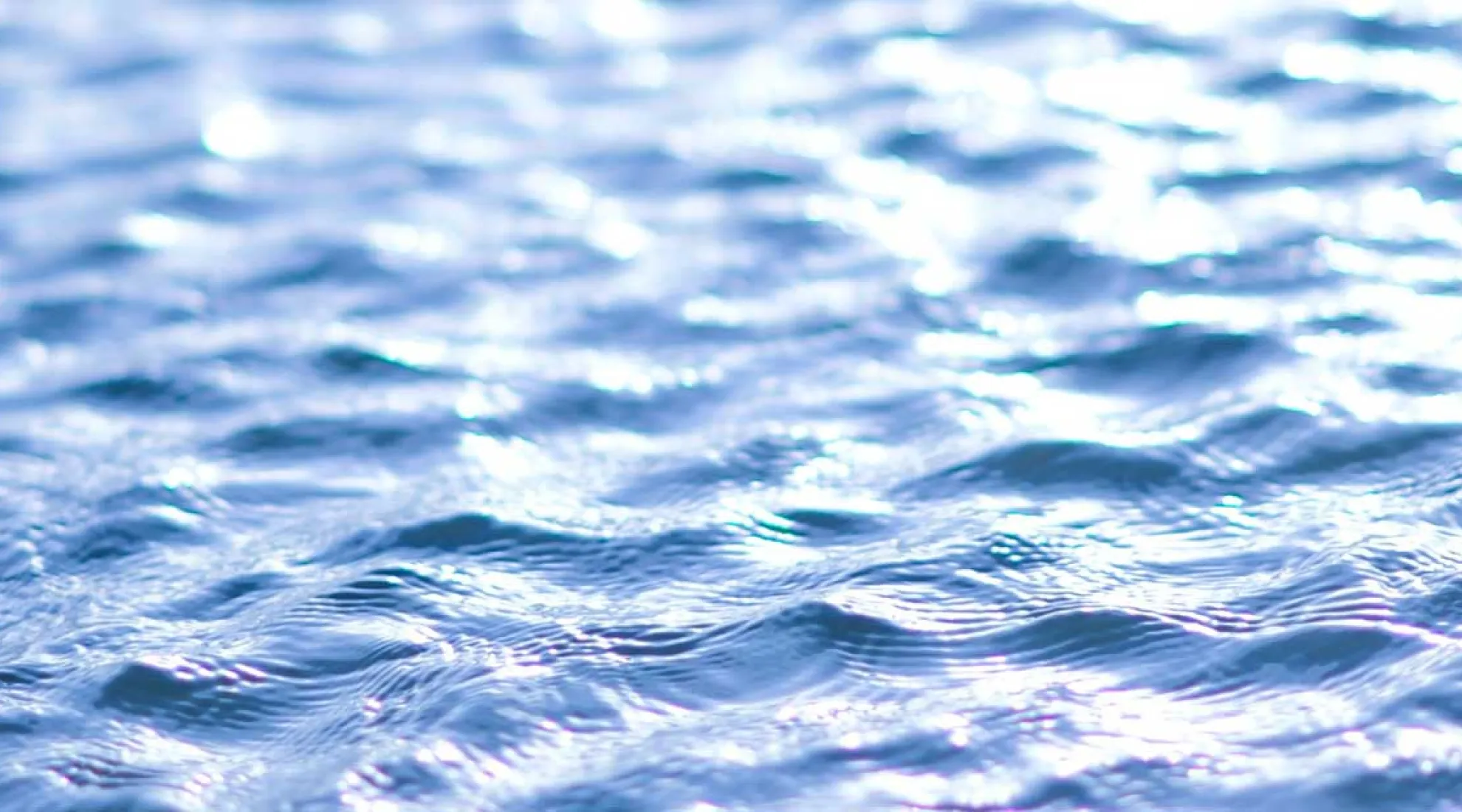 Publication rapport commission 