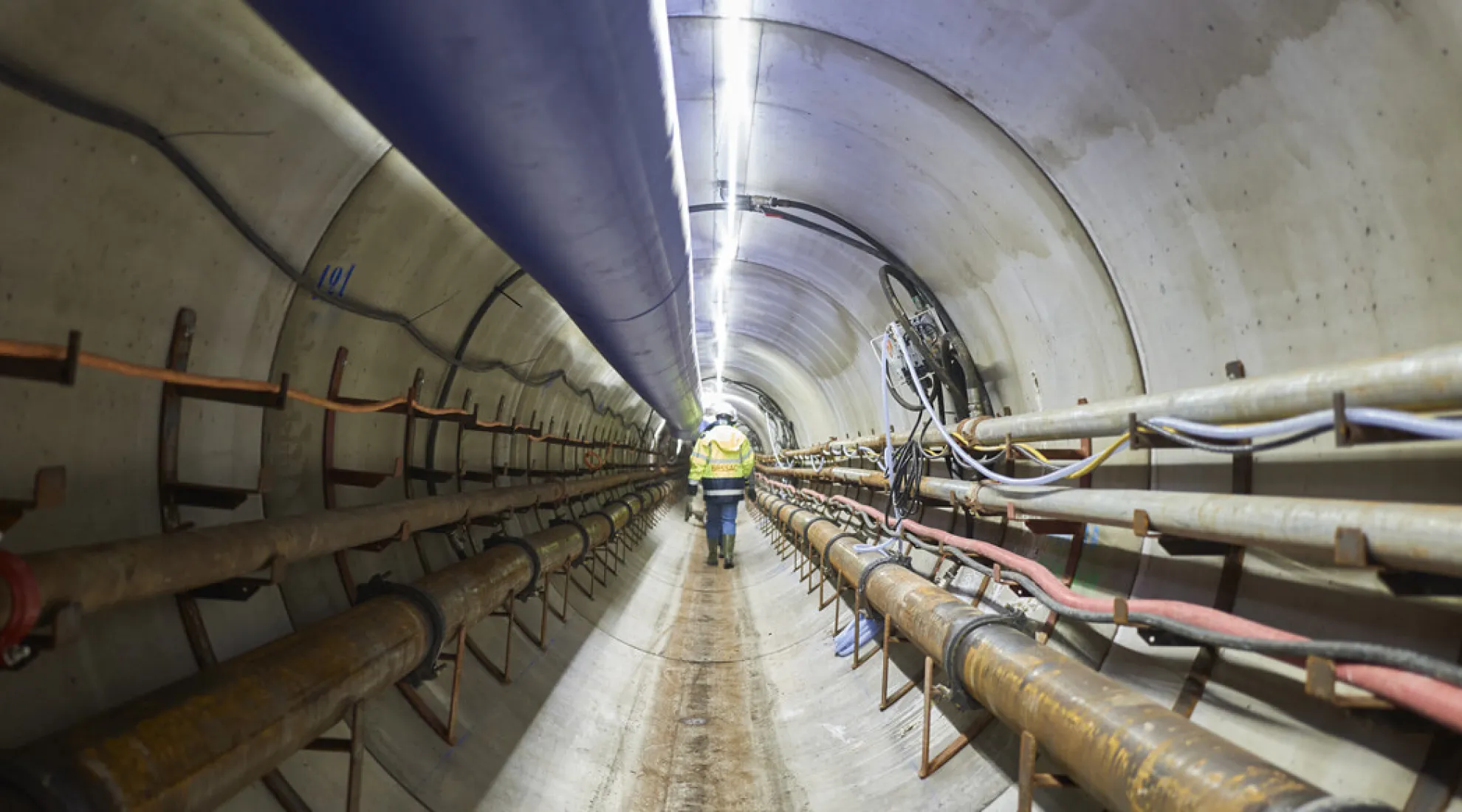 Photo de couverture du projet Golfe de Gascogne